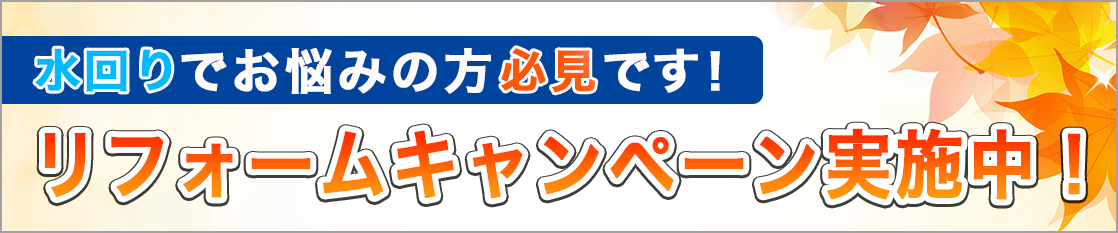 キャンペーン