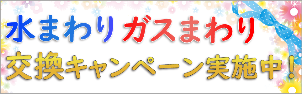 キャンペーン